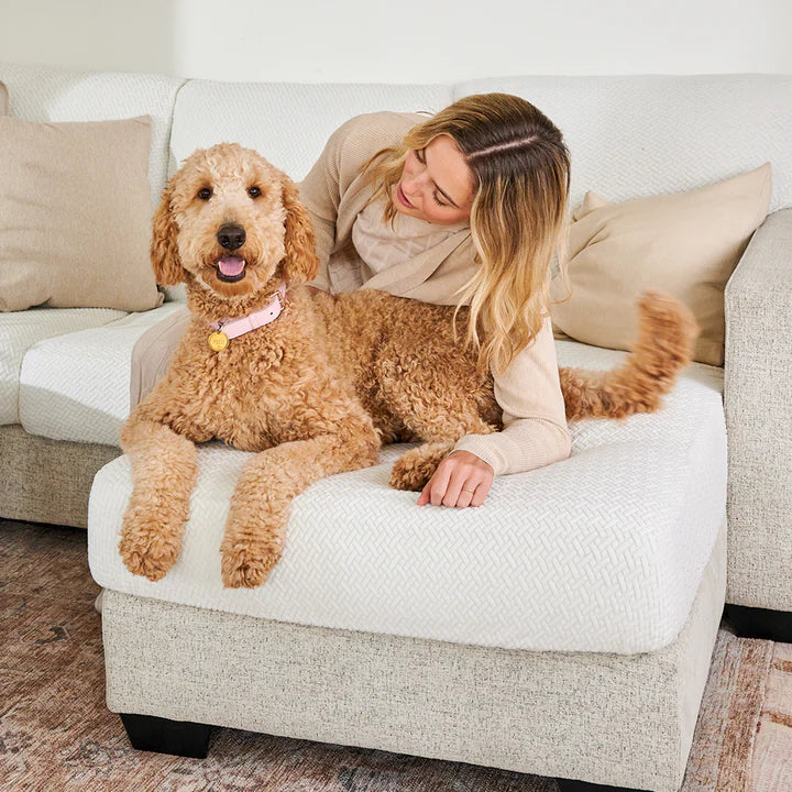 Wonder Sofa Cover - Pet Friendly